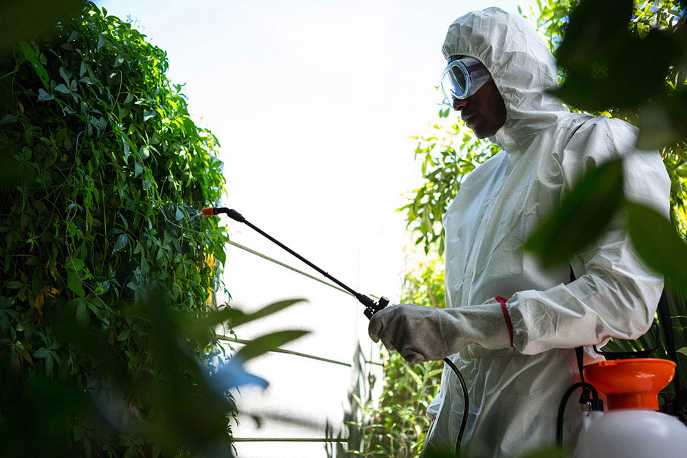 Laser Pest Management inc | Pest Control | Lawrence